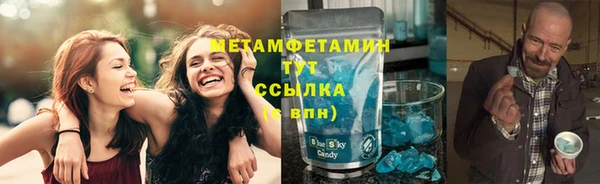 гидра Верхний Тагил