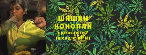 гидра Верхний Тагил