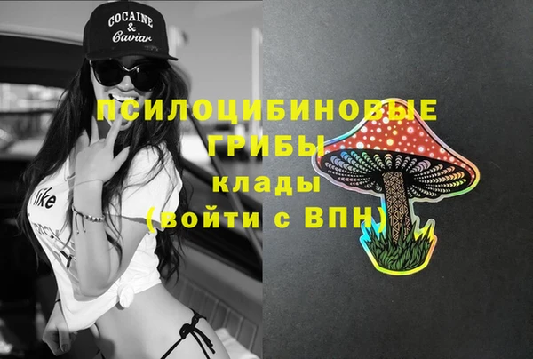 амф Володарск