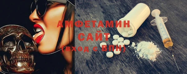 гидра Верхний Тагил